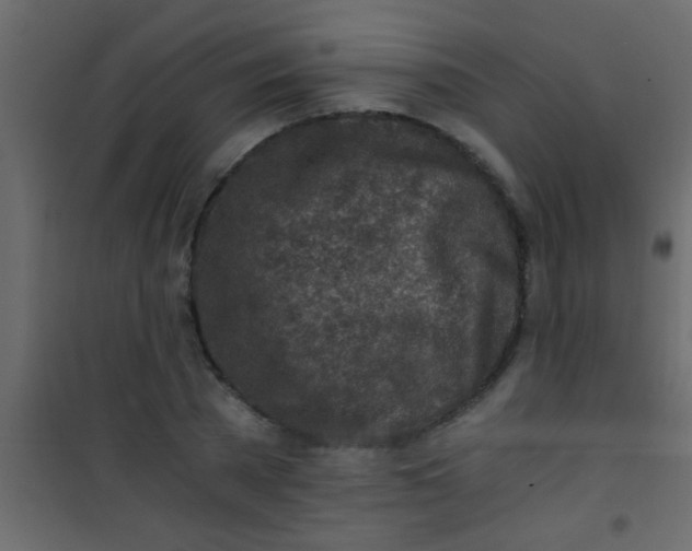 X0000101110785200807171935