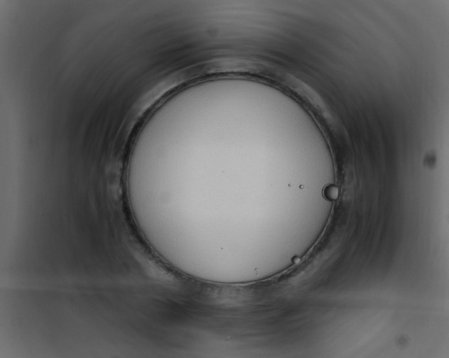 X0000101110786200807171935