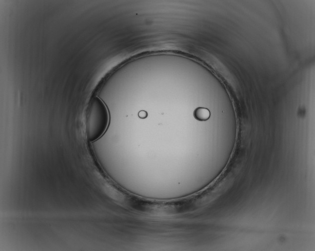 X0000101110789200807171935