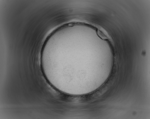X0000101110791200807171935
