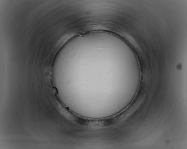 X0000101110793200807171935