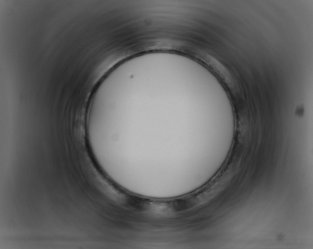 X0000101110794200807171935