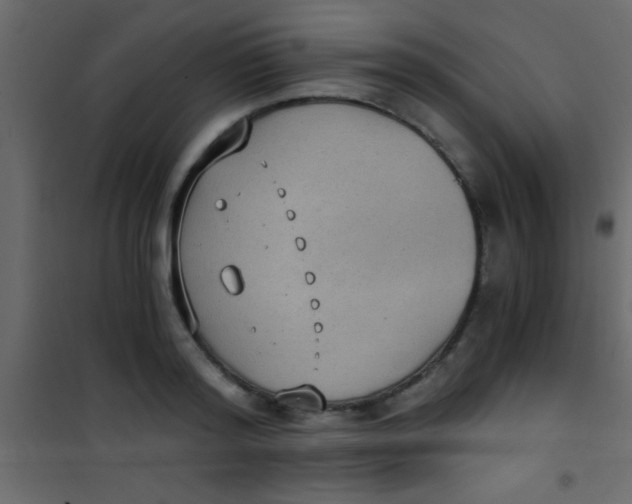 X0000101110796200807171935
