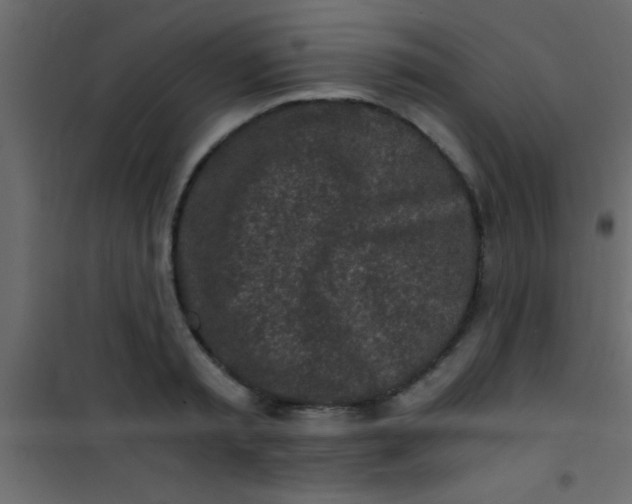 X0000101110797200807171935