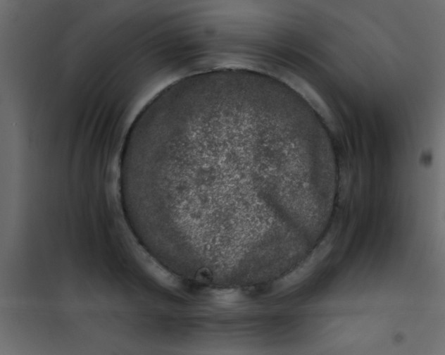 X0000101110798200807171935