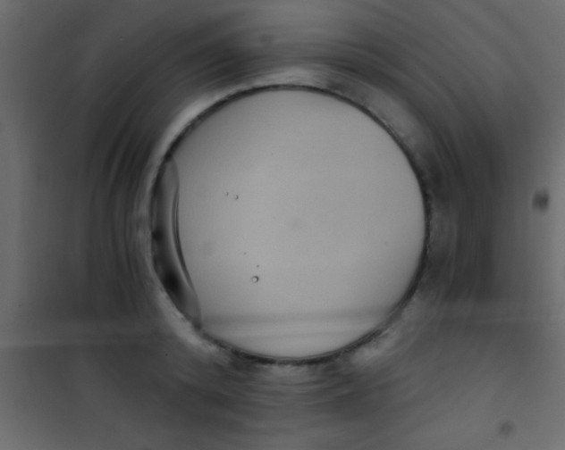 X0000101110800200807171935