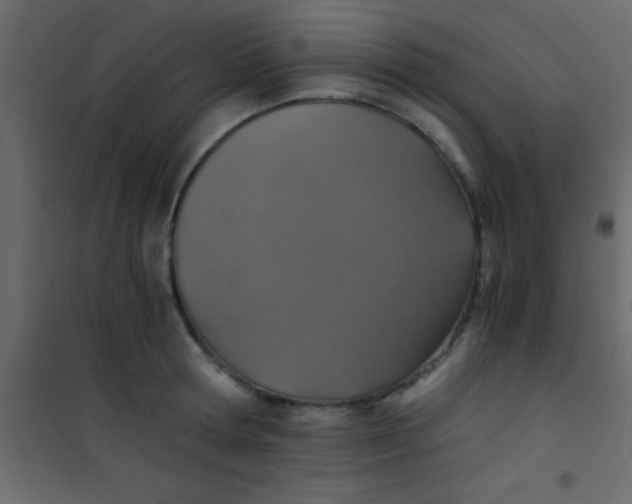 X0000101110802200807171935