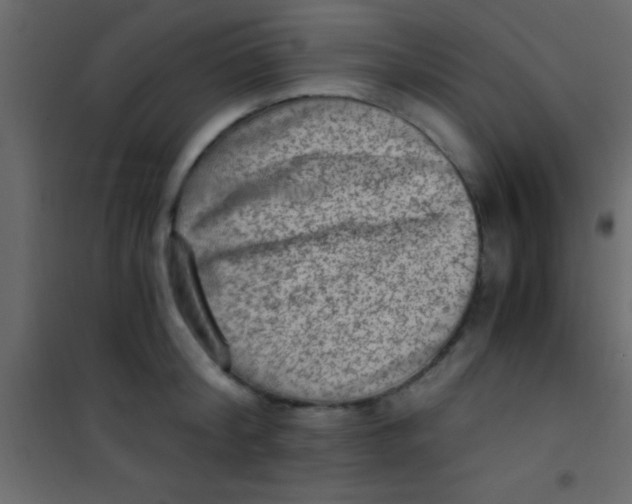 X0000101110804200807171935