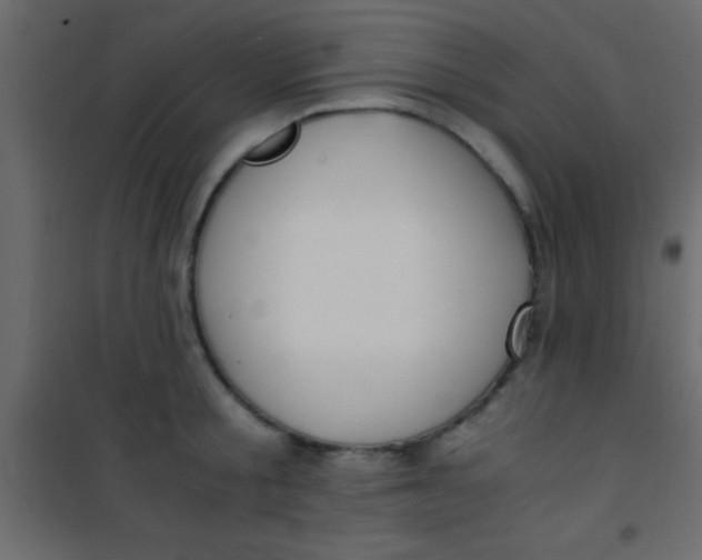 X0000101110805200807171935