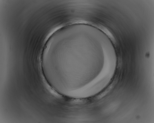X0000101110806200807171935