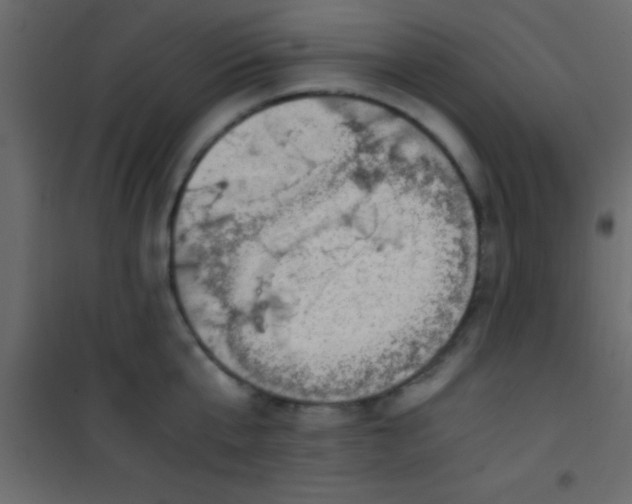 X0000101110807200807171935