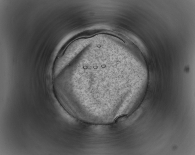 X0000101110808200807171935