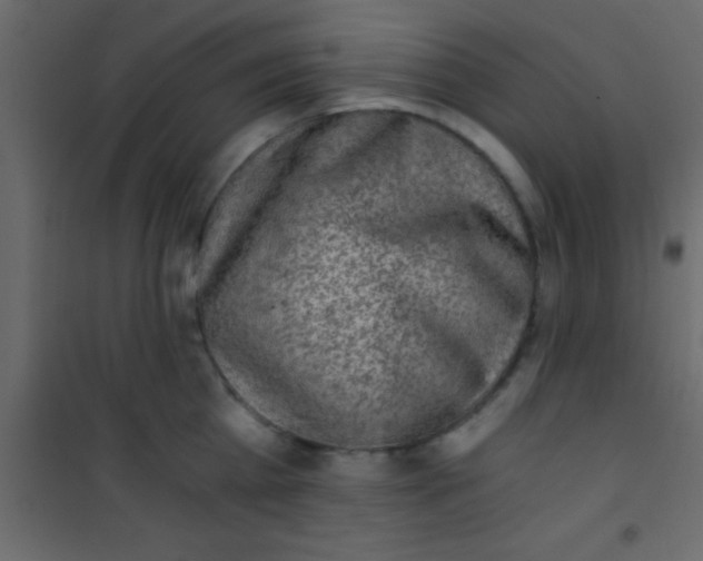 X0000101110809200807171935