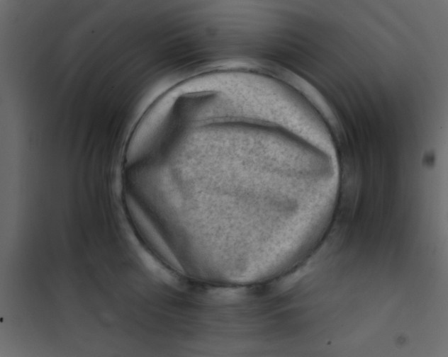 X0000101110810200807171935