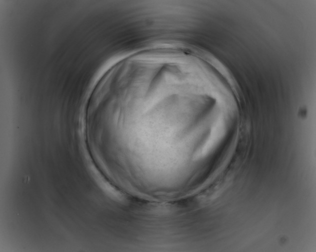 X0000101110811200807171935