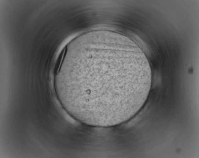 X0000101110812200807171935