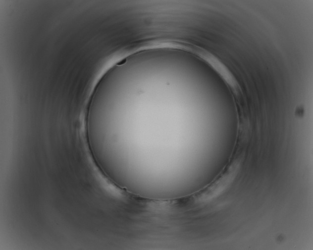 X0000101110813200807171935