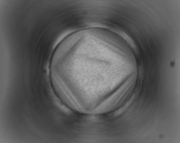 X0000101110814200807171935