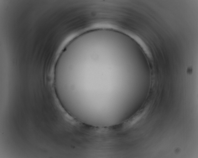 X0000101110815200807171935