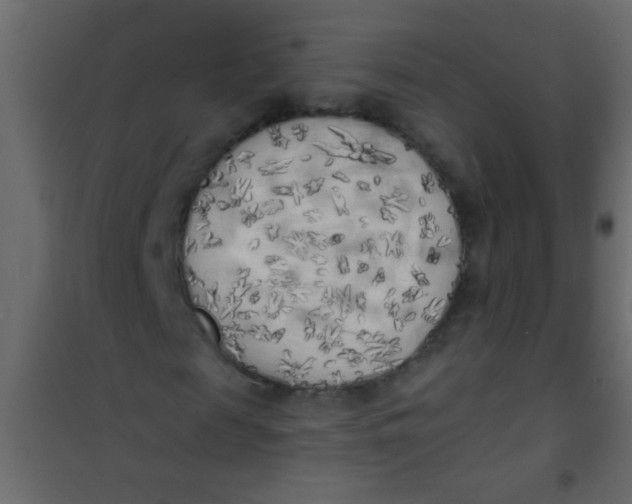 X0000101110817200807171934