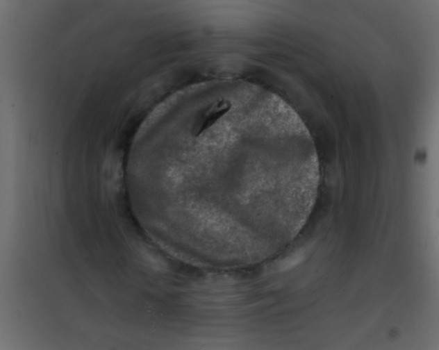 X0000101110818200807171934