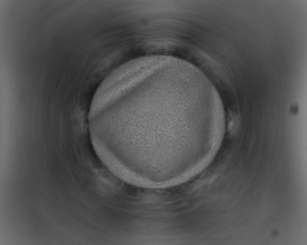 X0000101110819200807171934