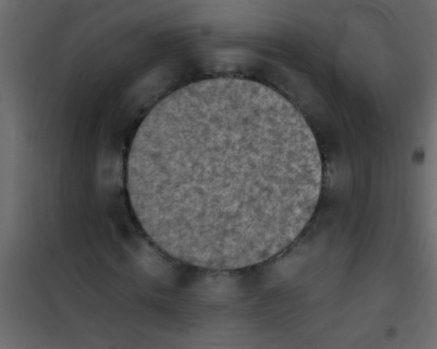 X0000101110820200807171934