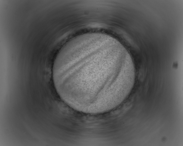 X0000101110821200807171934