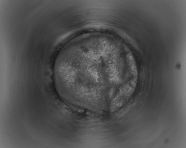 X0000101110822200807171934