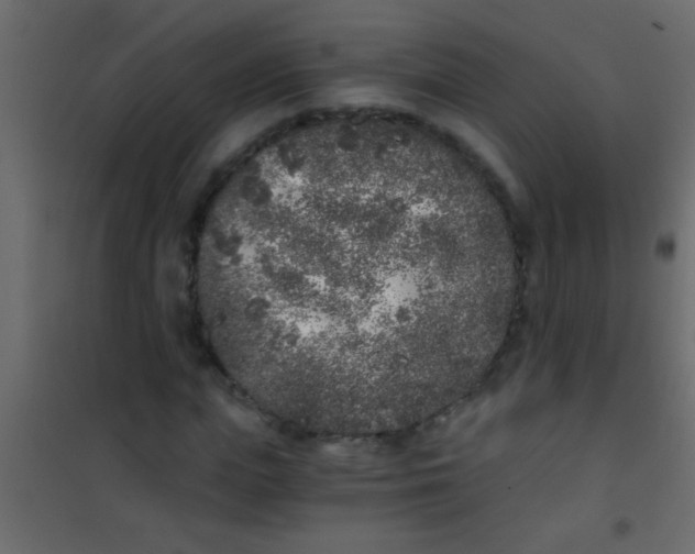 X0000101110823200807171934