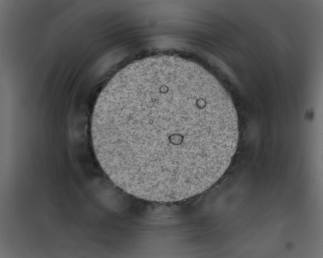 X0000101110824200807171934