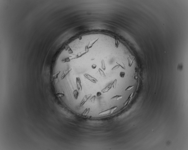 X0000101110825200807171934