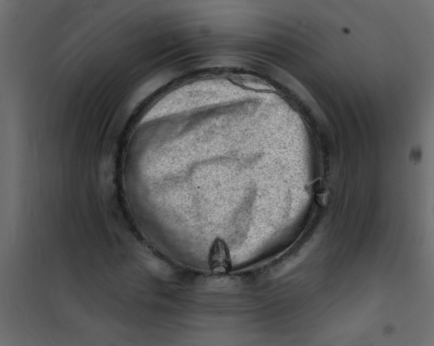 X0000101110826200807171934