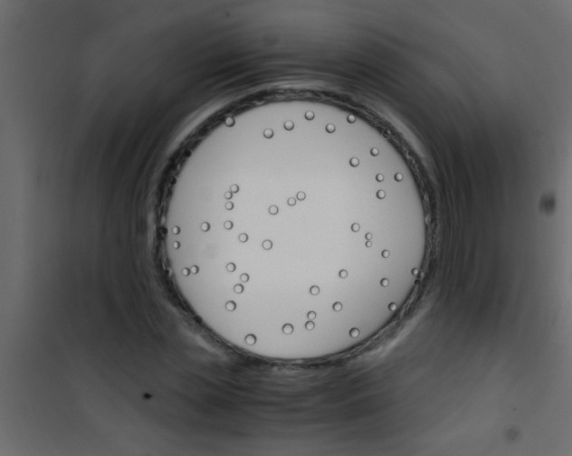 X0000101110829200807171934
