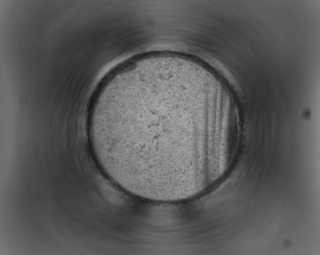 X0000101110830200807171934