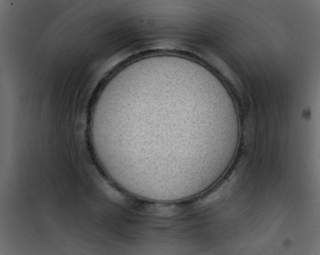 X0000101110831200807171934