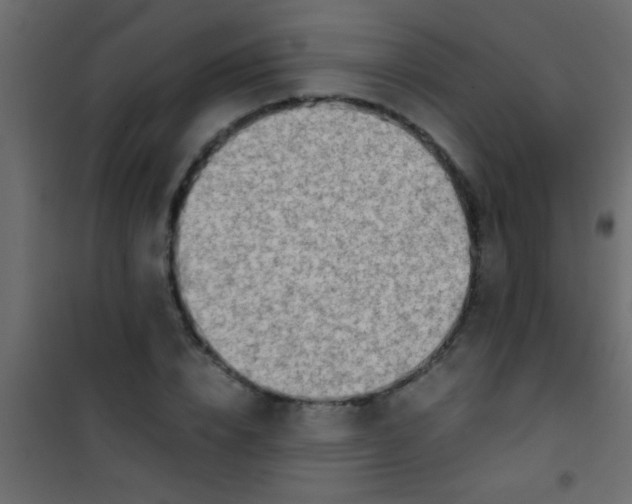 X0000101110832200807171934
