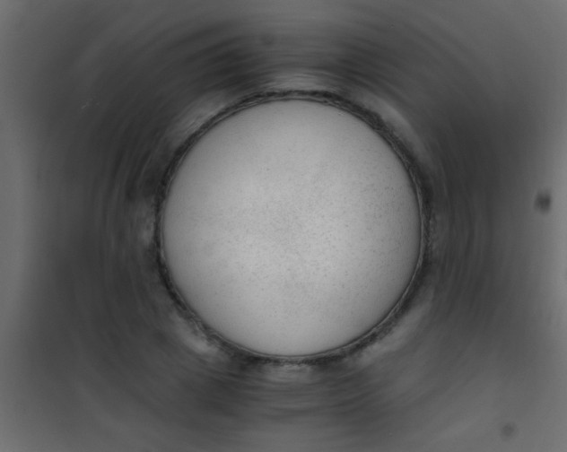X0000101110833200807171934