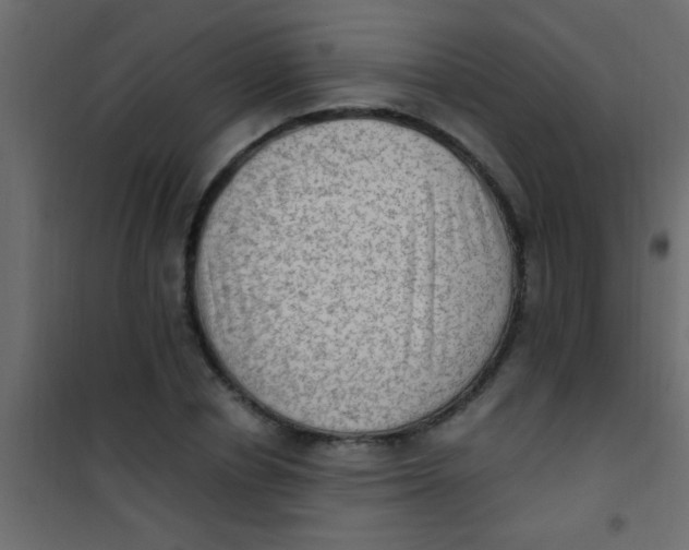 X0000101110834200807171934