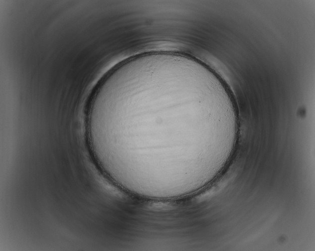 X0000101110835200807171934