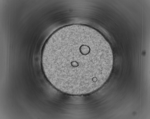 X0000101110836200807171934