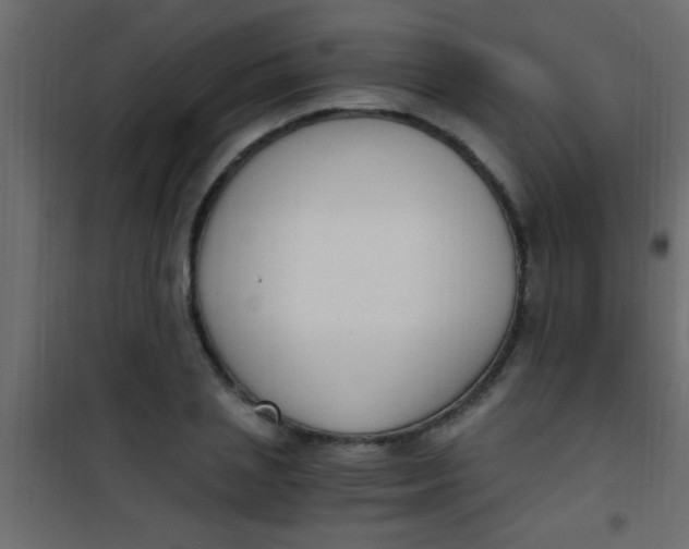 X0000101110837200807171934