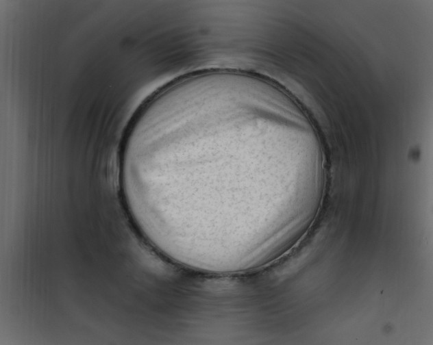 X0000101110838200807171934