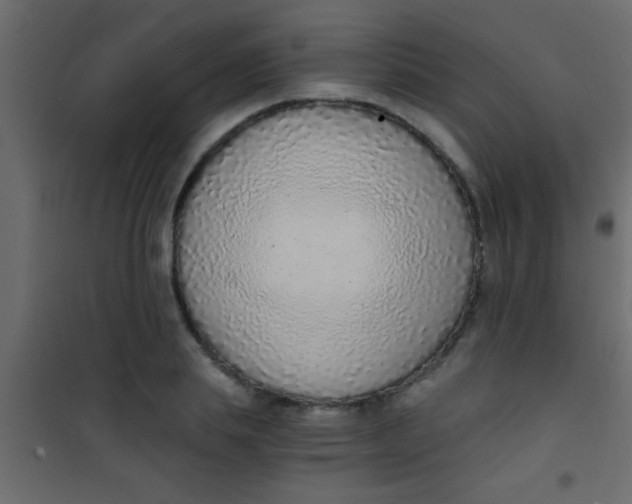 X0000101110839200807171934