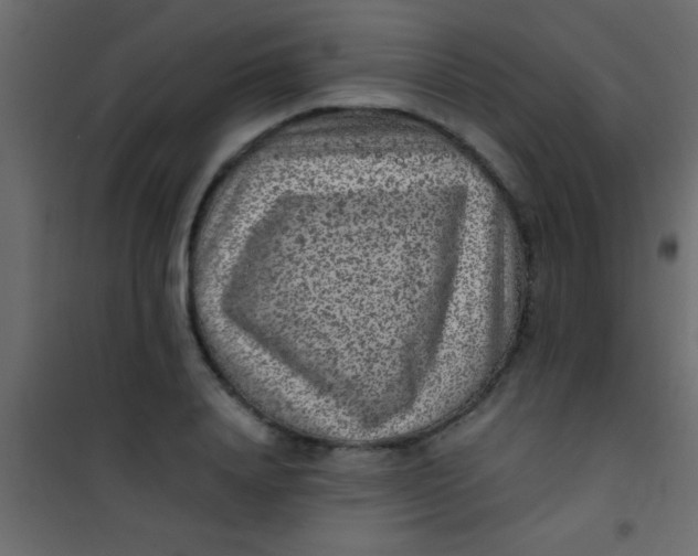 X0000101110840200807171934