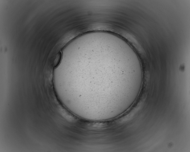 X0000101110841200807171934