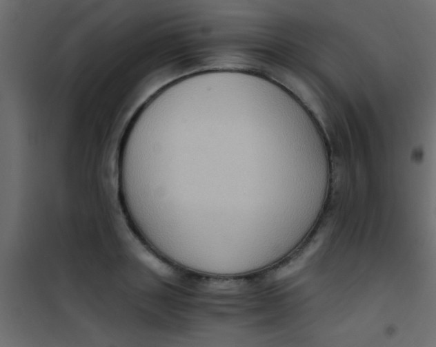 X0000101110843200807171934