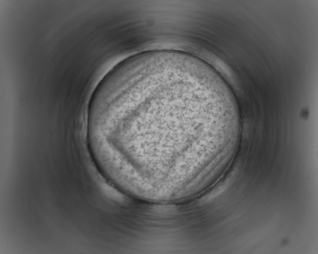 X0000101110844200807171934