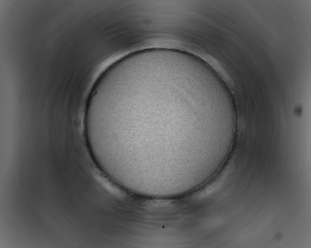 X0000101110846200807171934