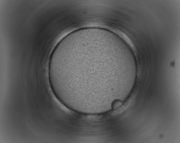 X0000101110847200807171934